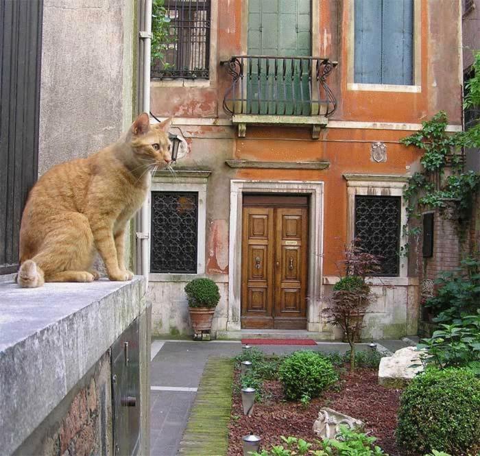 Ca' Angeli Venedig